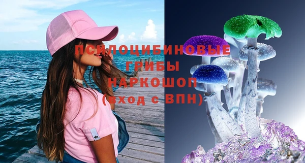 спиды Касимов