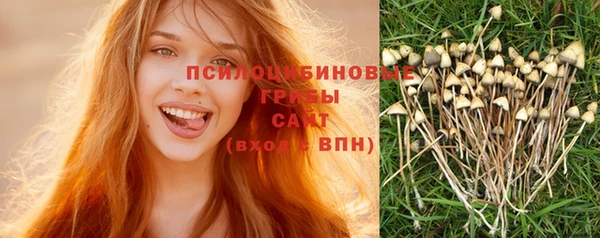 МДПВ Карпинск