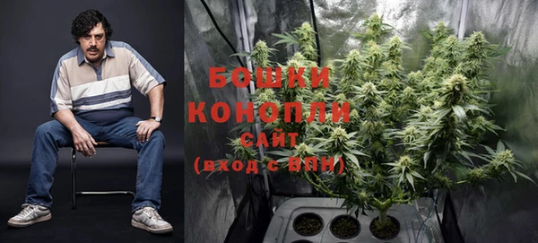 спиды Касимов