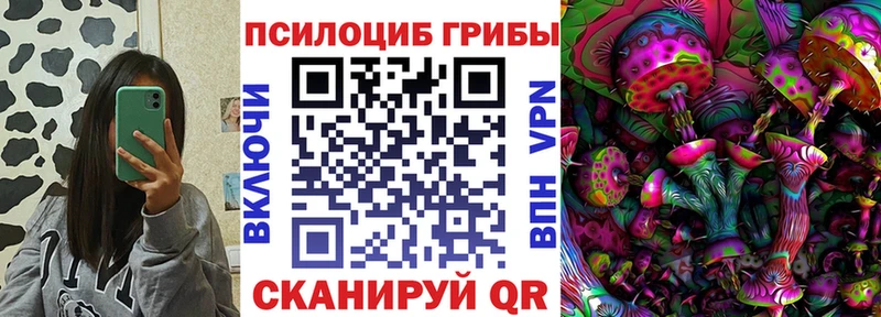 Купить закладки  Баймак  Галлюциногенные грибы GOLDEN TEACHER 